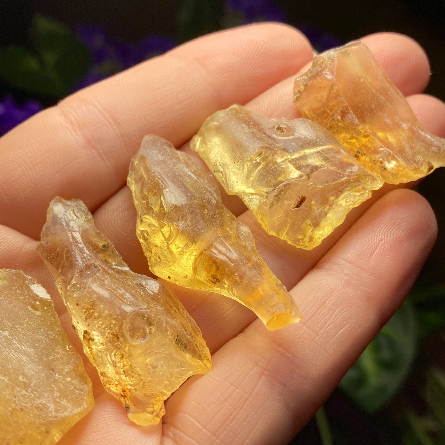 Natural Amber Specimen