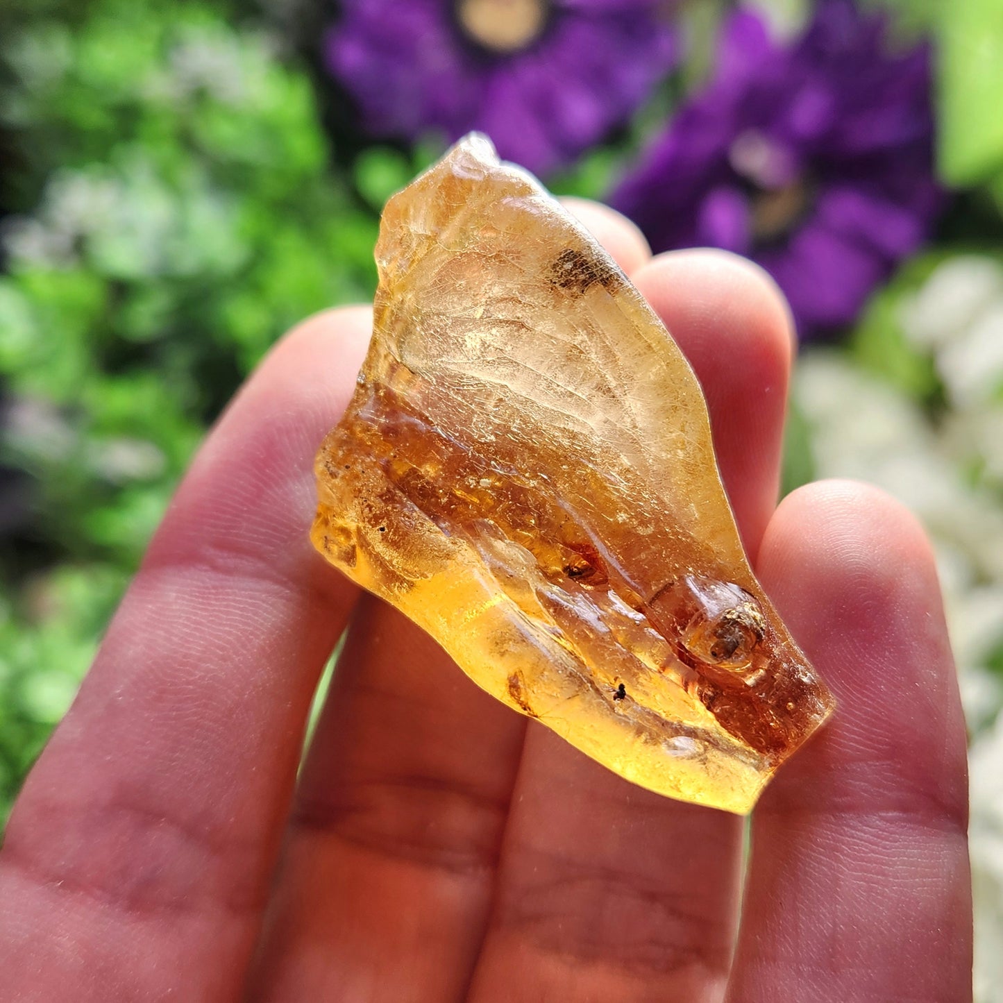 Amber with Insects