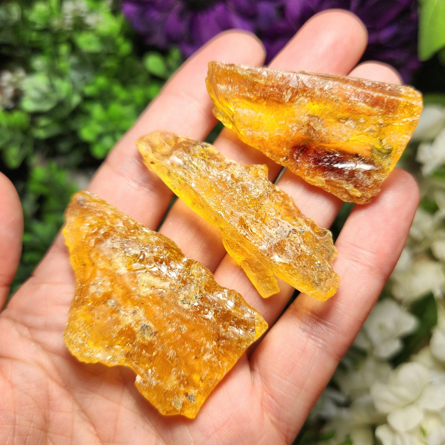 Amber with Insects