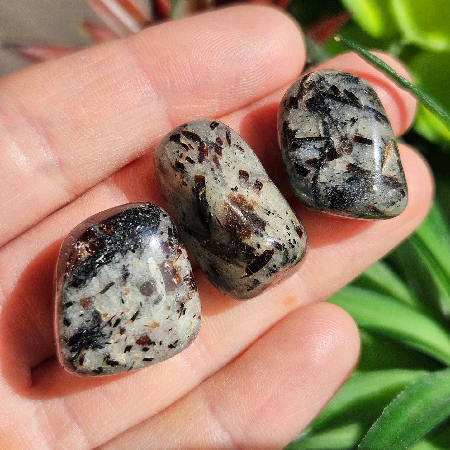Astrophyllite Crystal