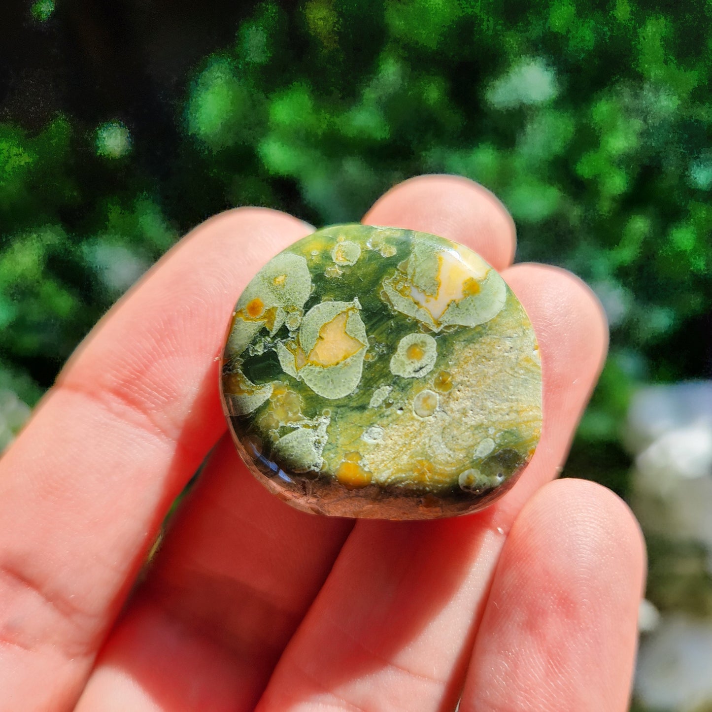 Rainforest Jasper Stone