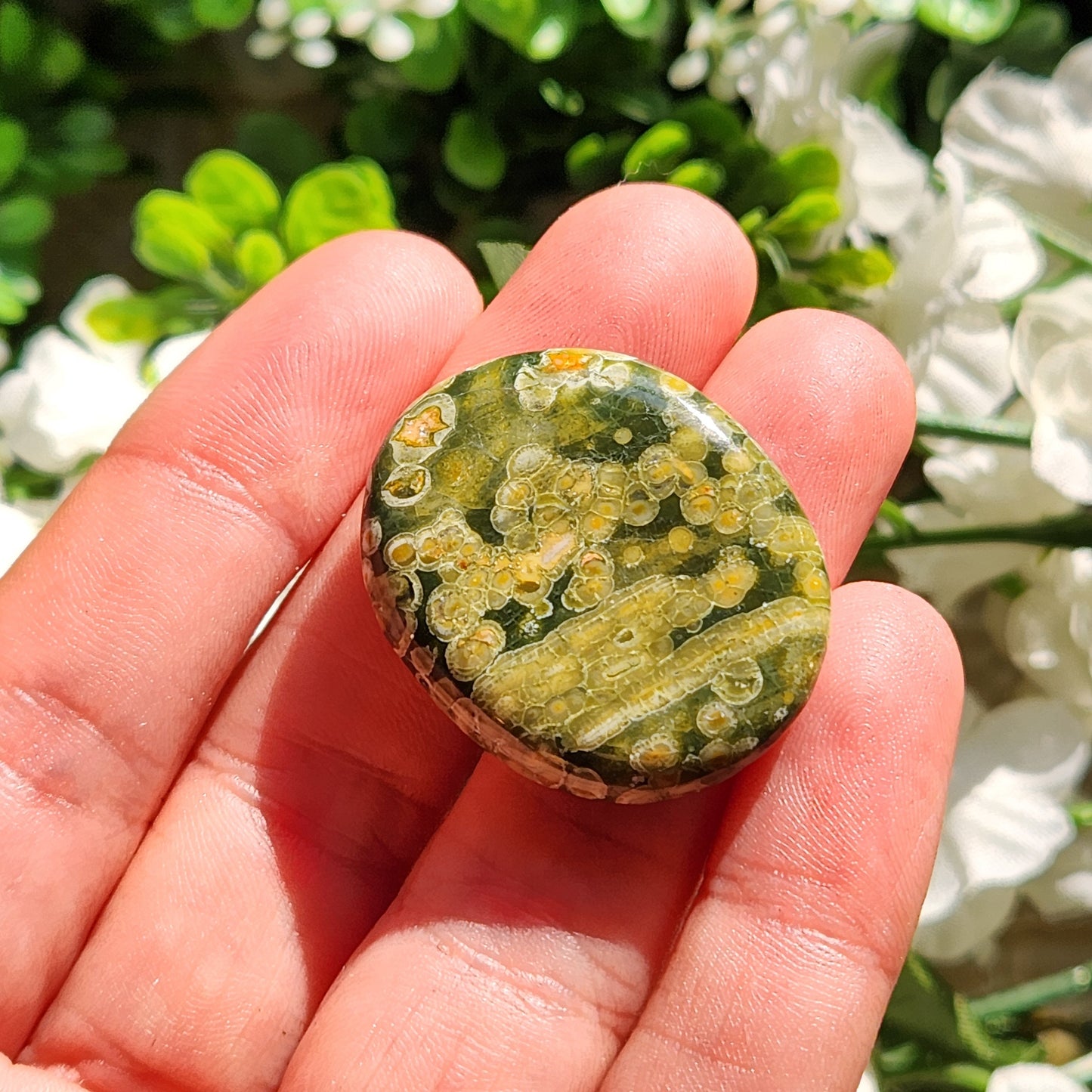 Rainforest Jasper Stone