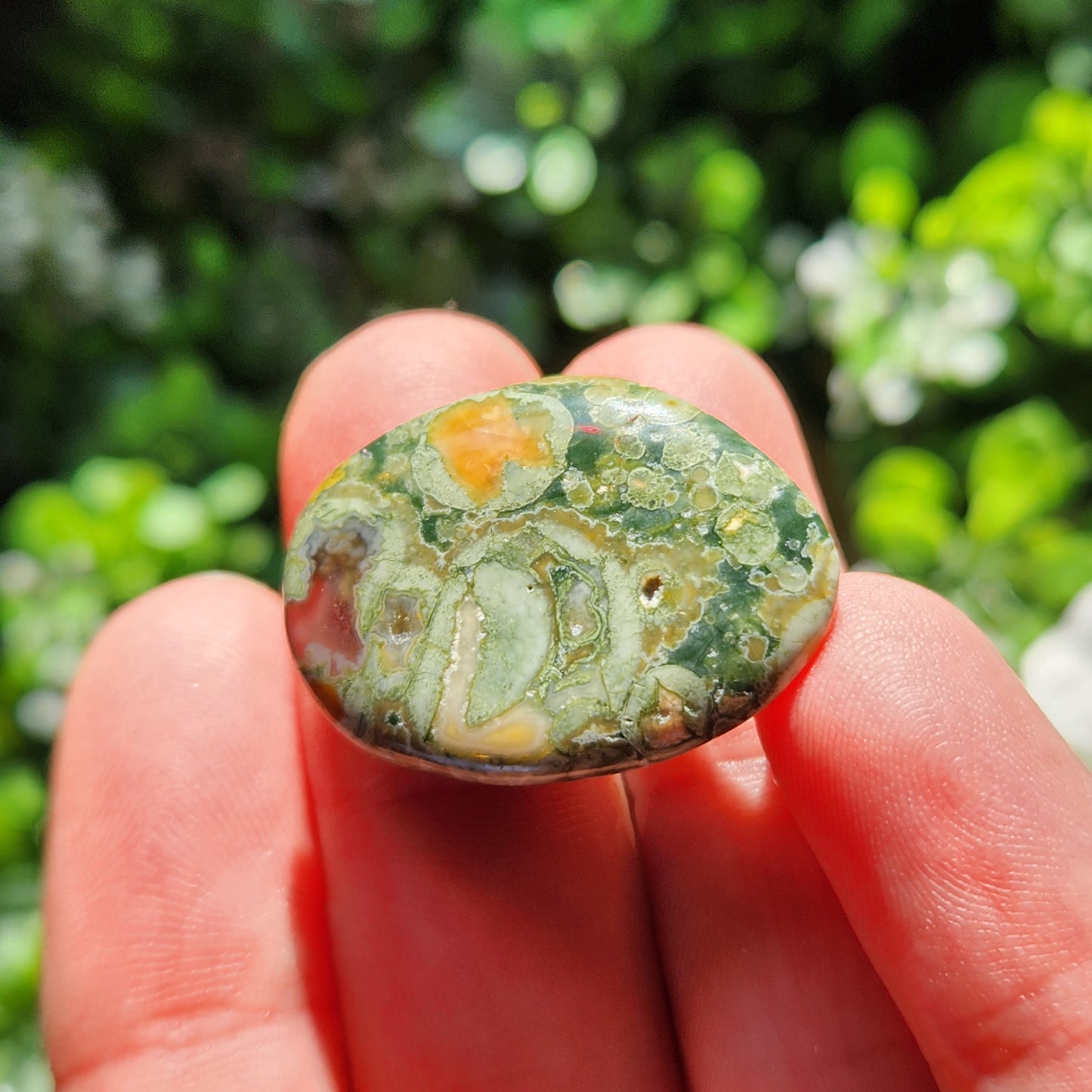Rainforest Jasper Stone