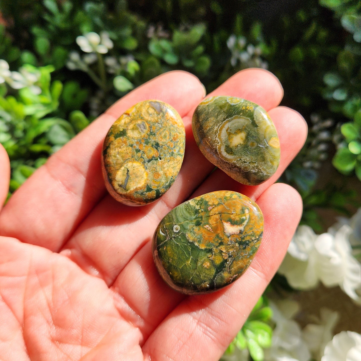Rainforest Jasper Stone