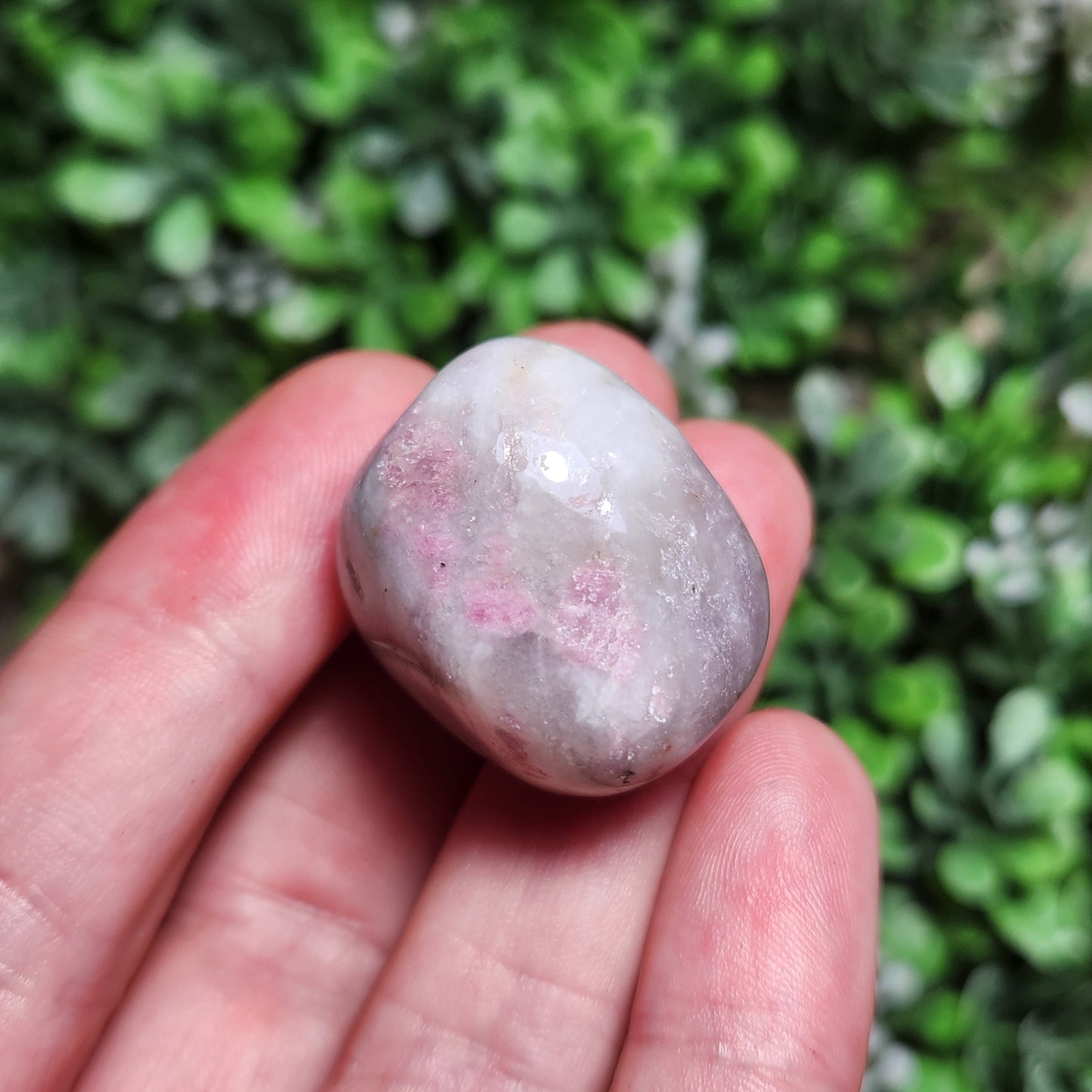 Unicorn Stone