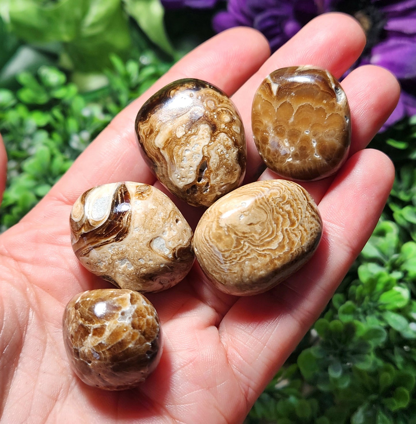 Chocolate Calcite