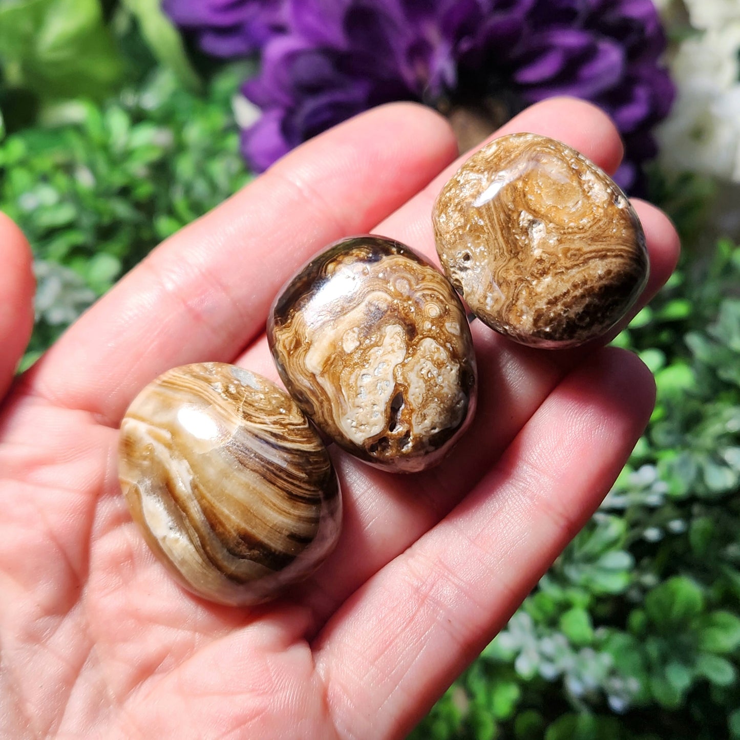 Chocolate Calcite