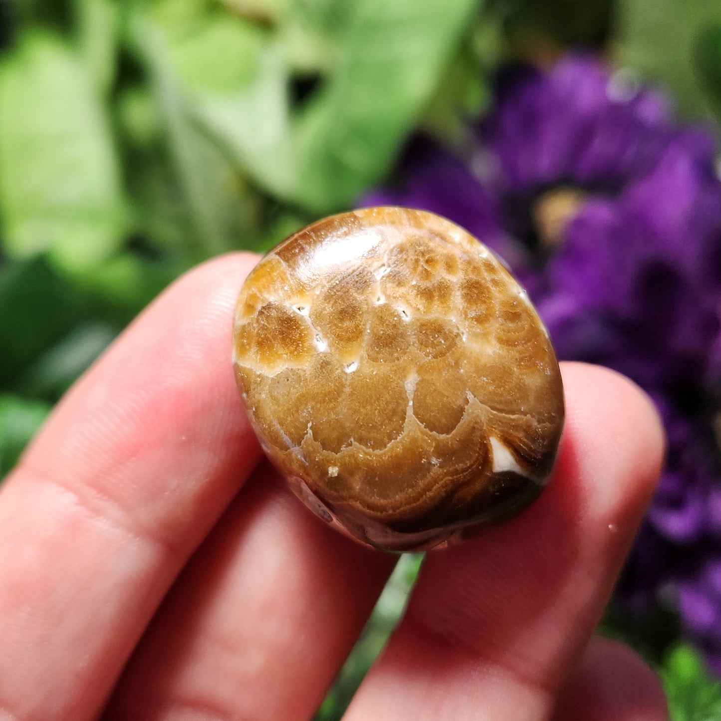 Chocolate Calcite