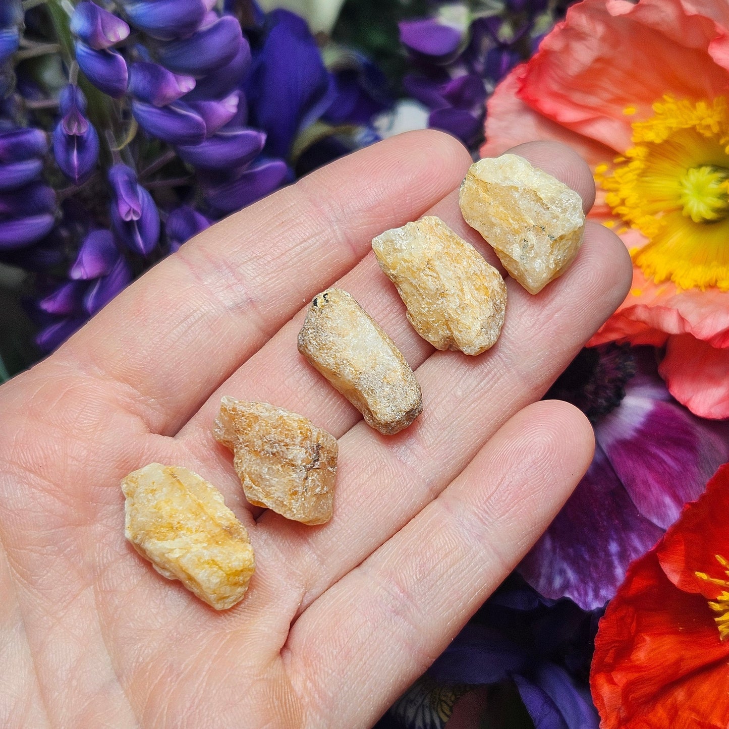 XL Phenacite Crystal