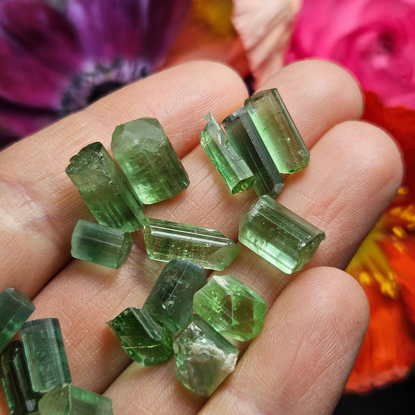 Green Tourmaline Crystal