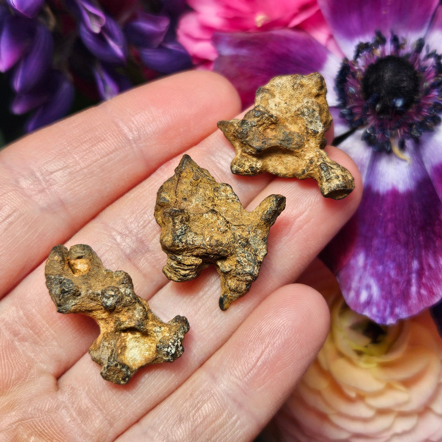 XL Pallasite Meteorite