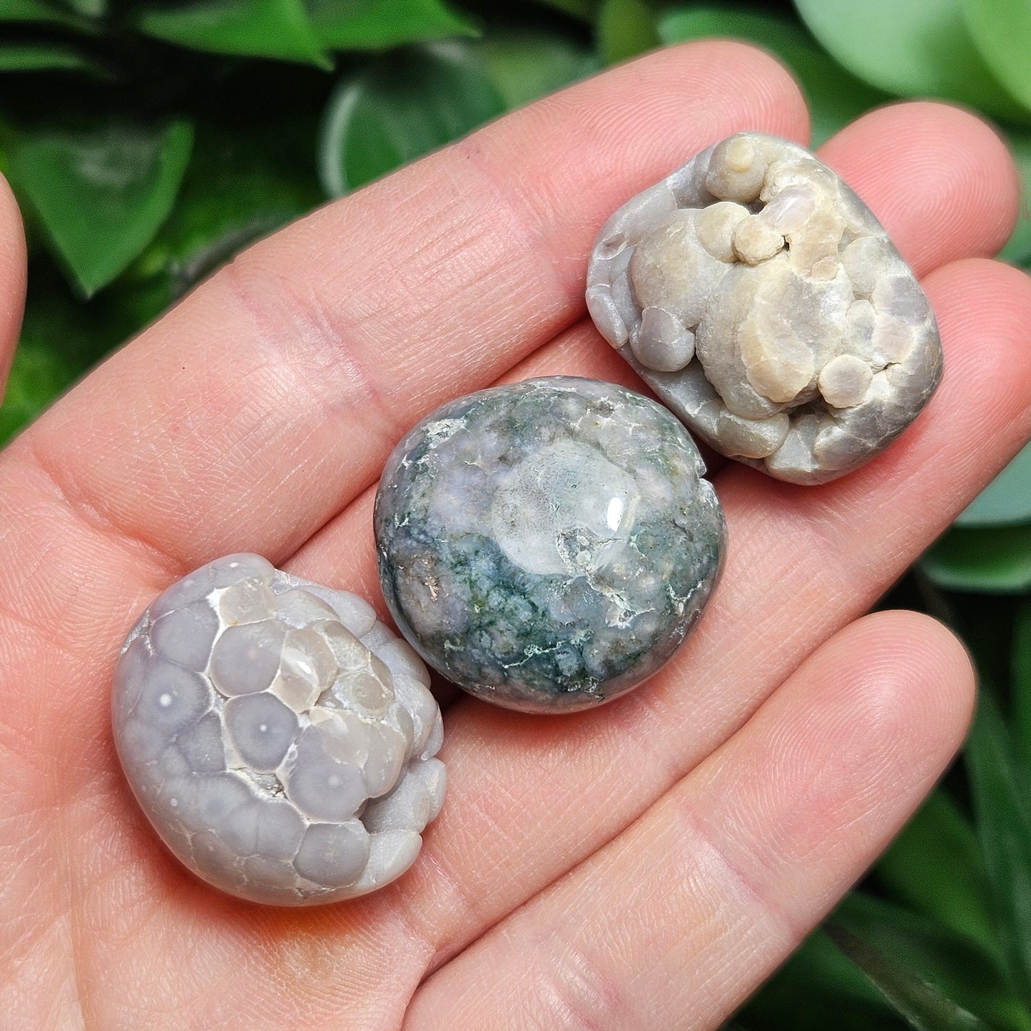 Grape Agate MISFITS