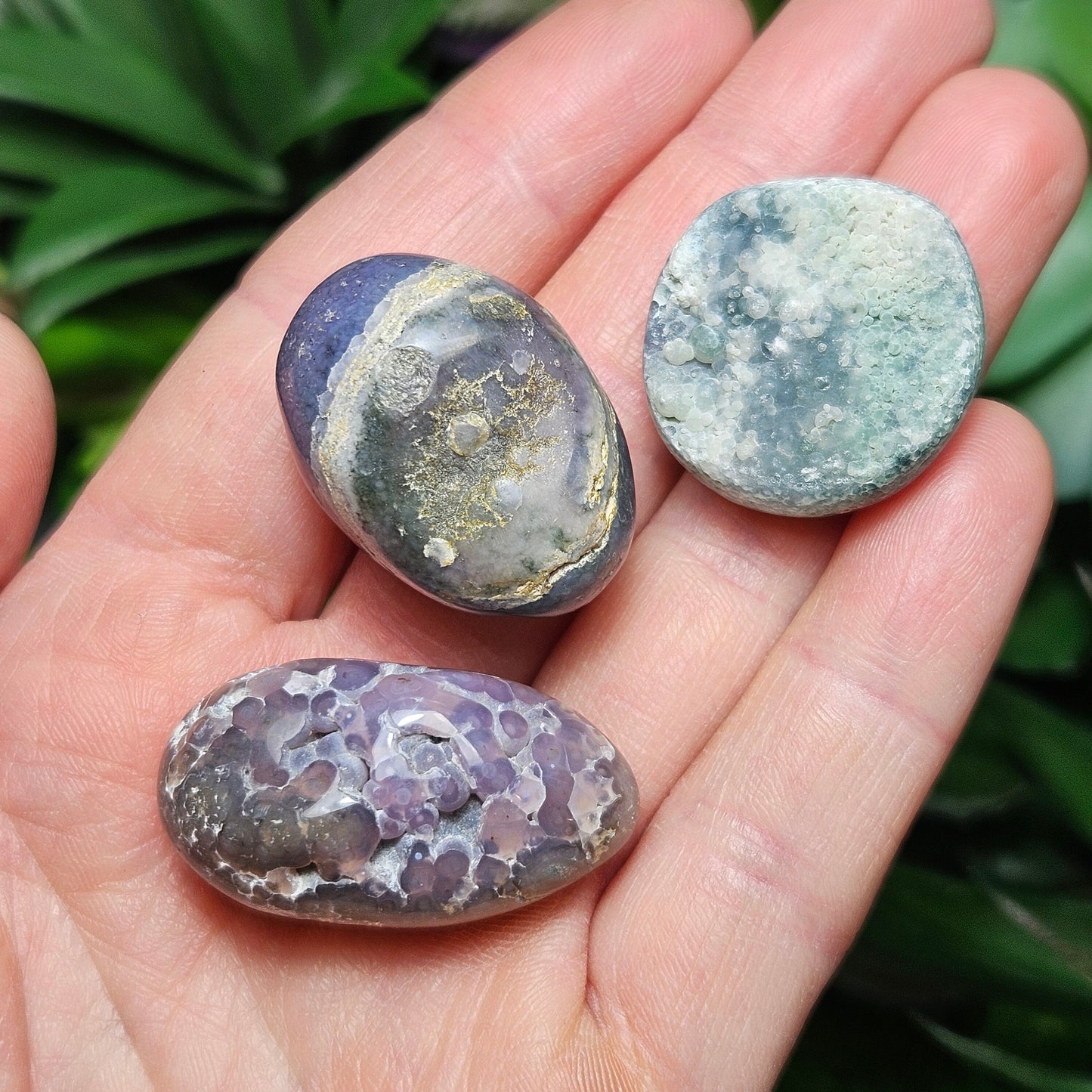 Grape Agate MISFITS