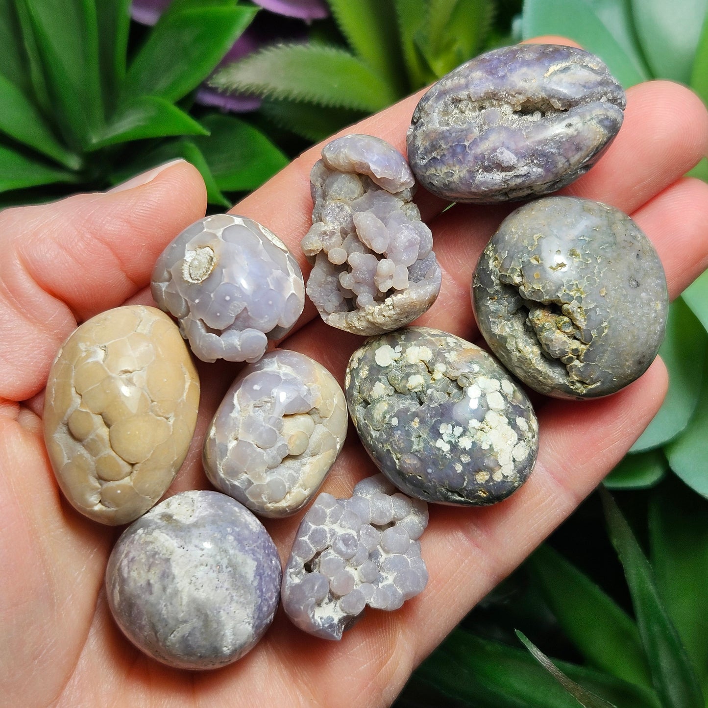 Grape Agate MISFITS
