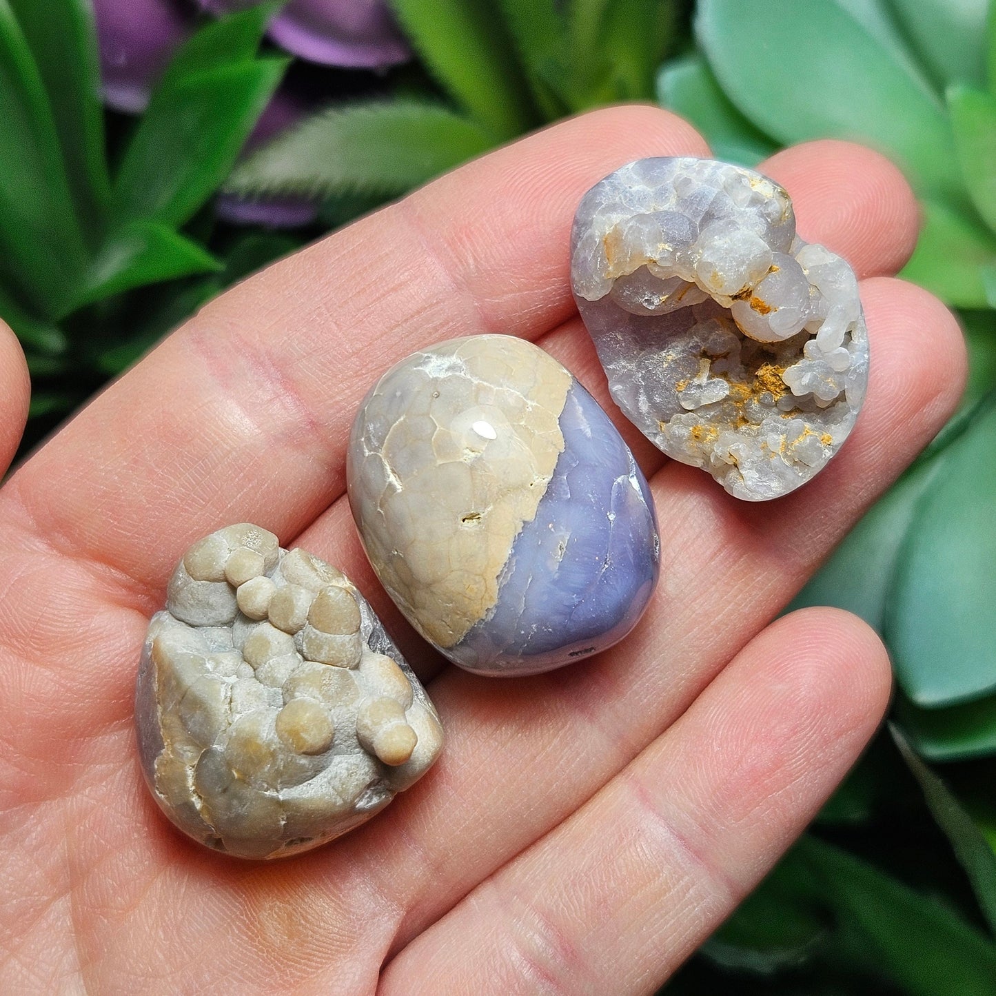 Grape Agate MISFITS