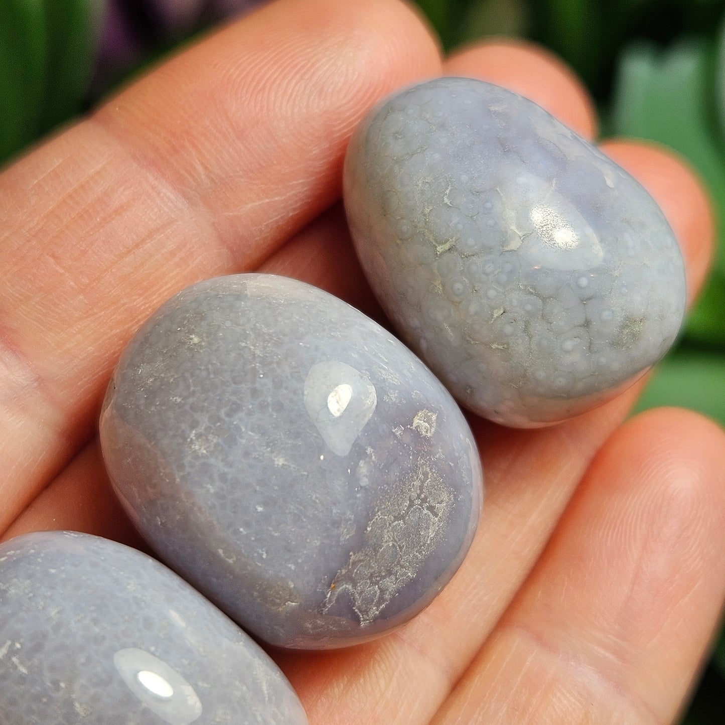 Purple Chalcedony