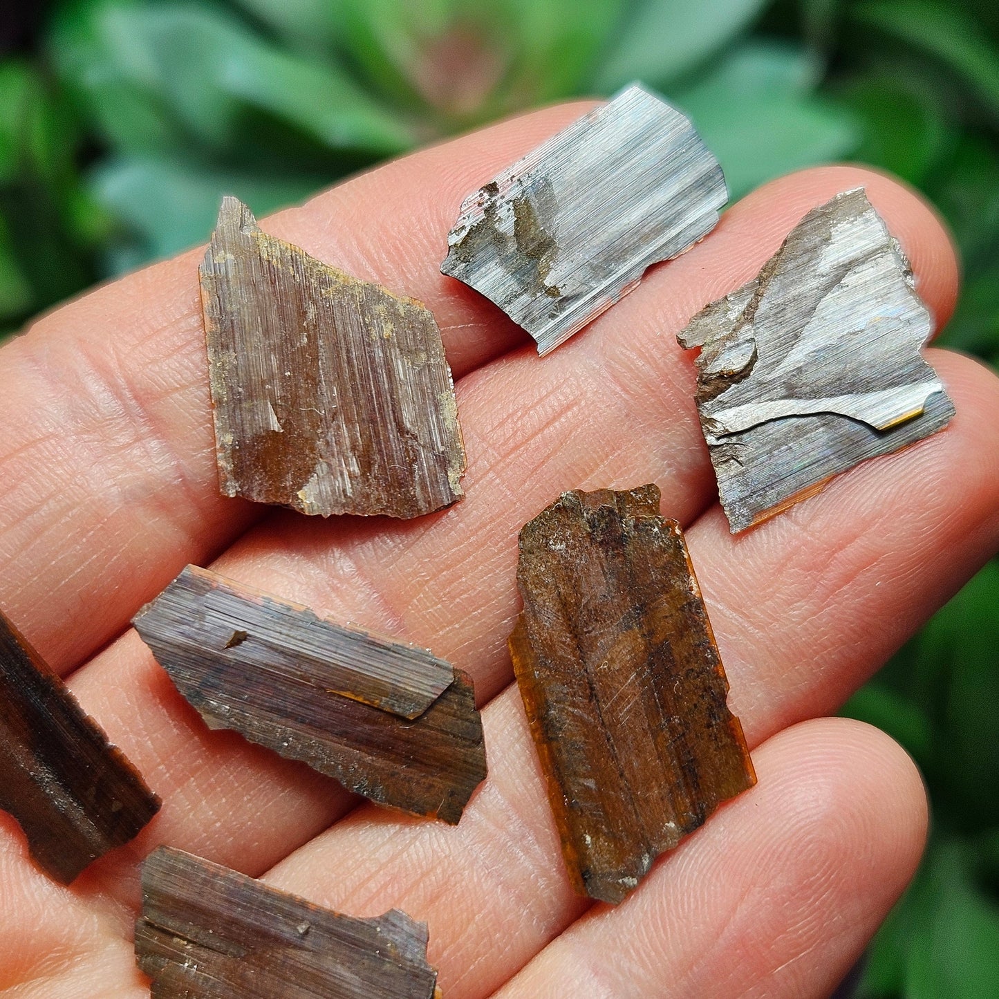 Brookite Blade Specimens