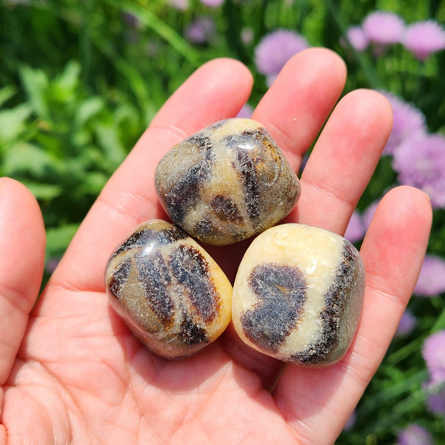Septarian Stone