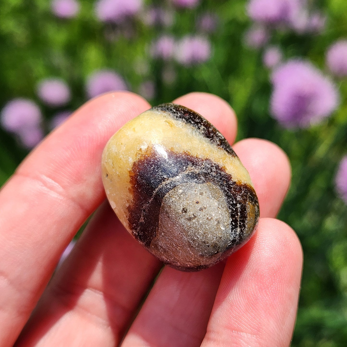 Septarian Stone