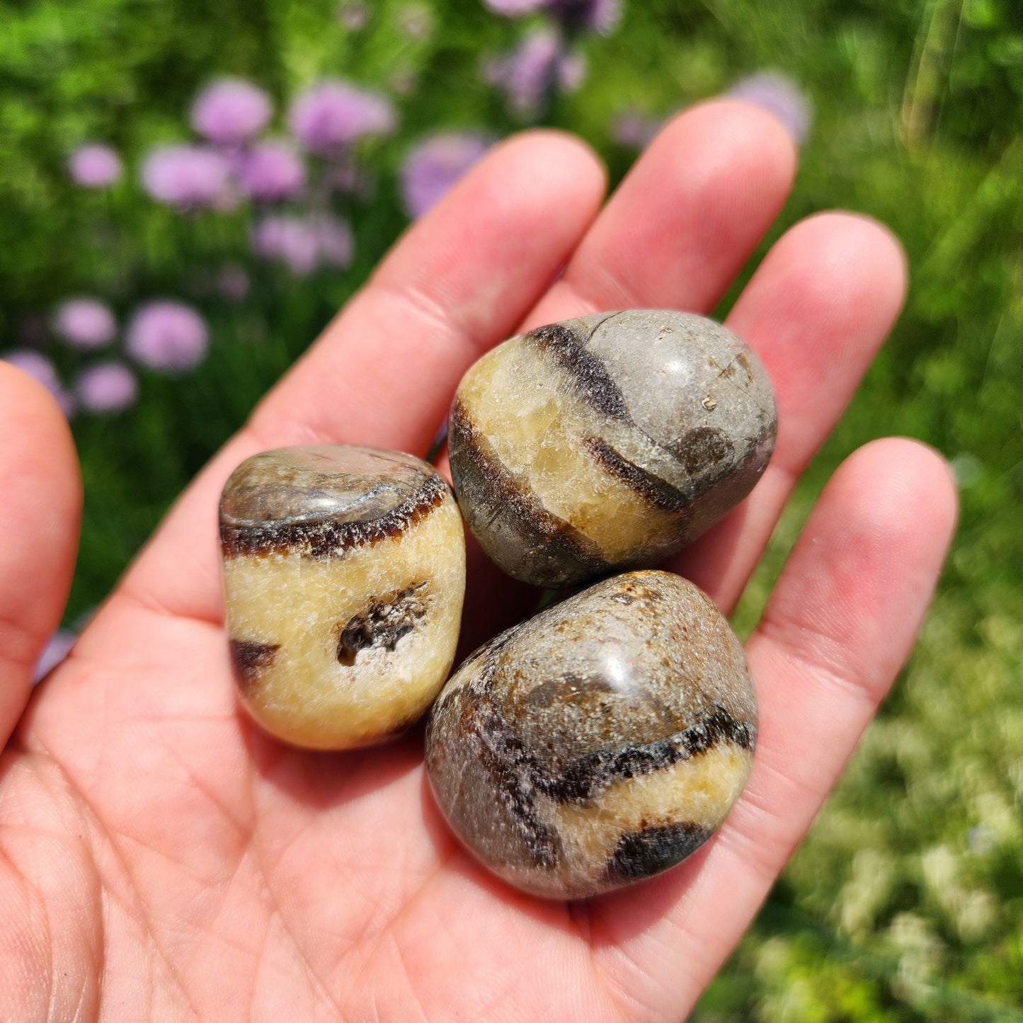 Septarian Stone