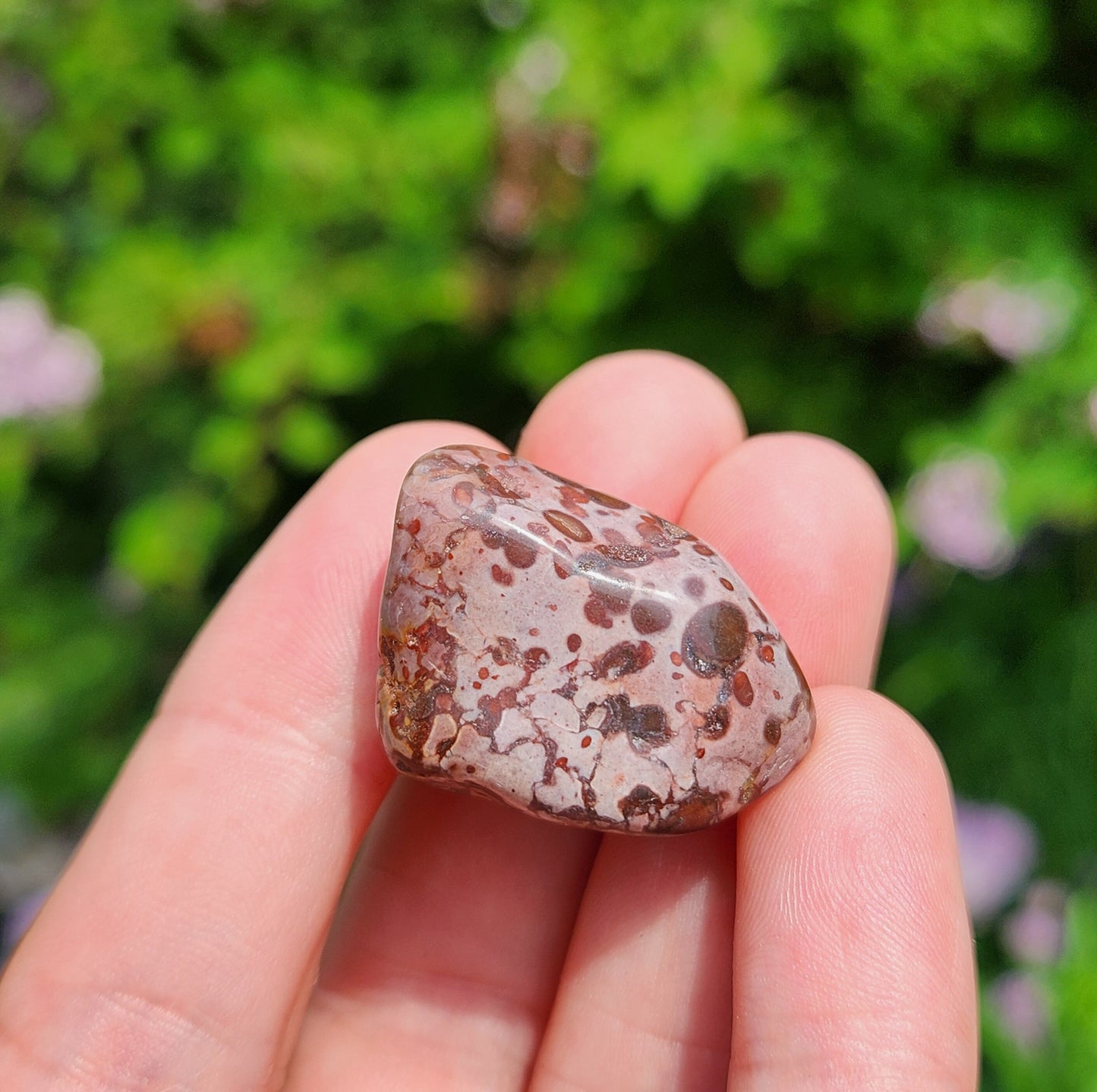Leopard Skin Jasper