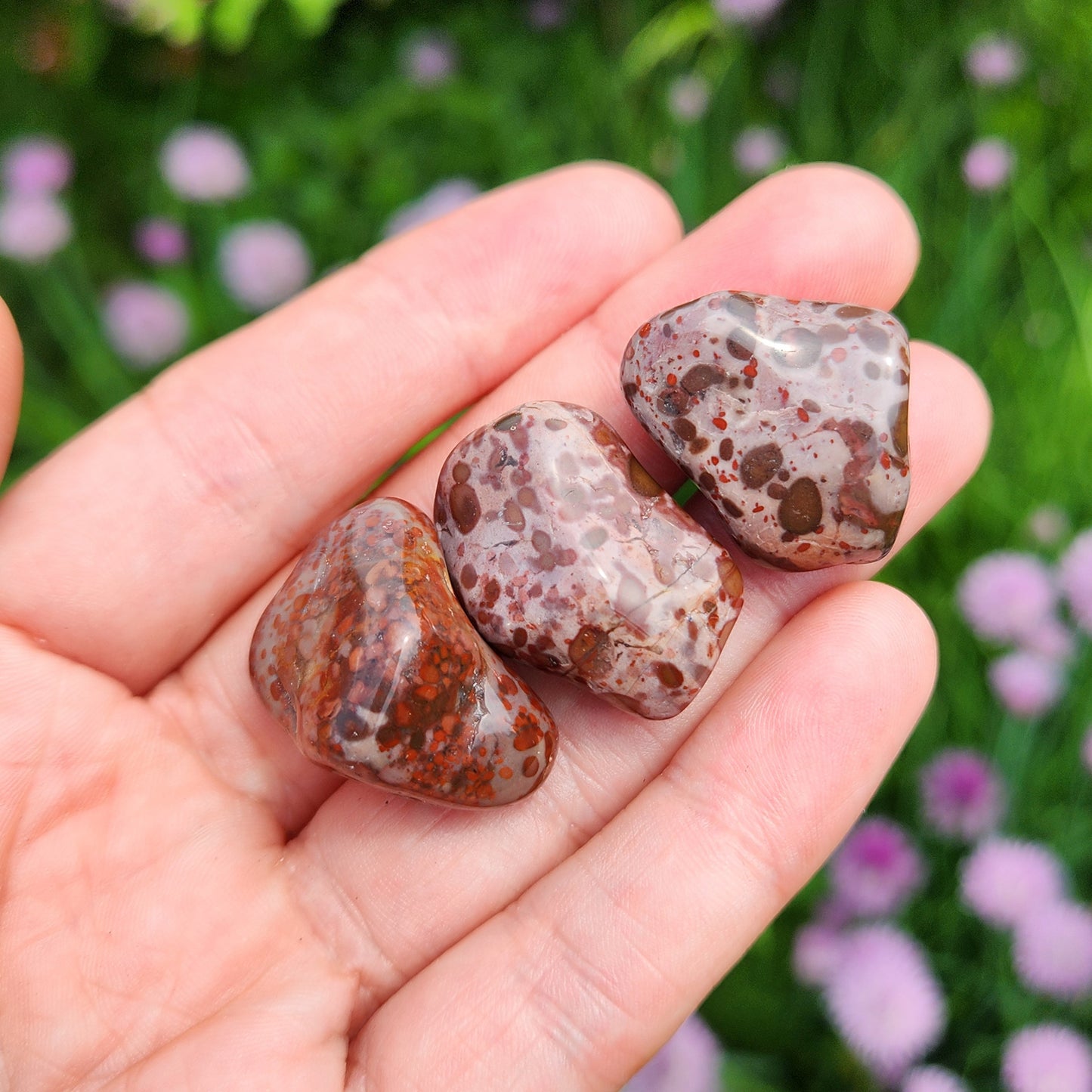 Leopard Skin Jasper