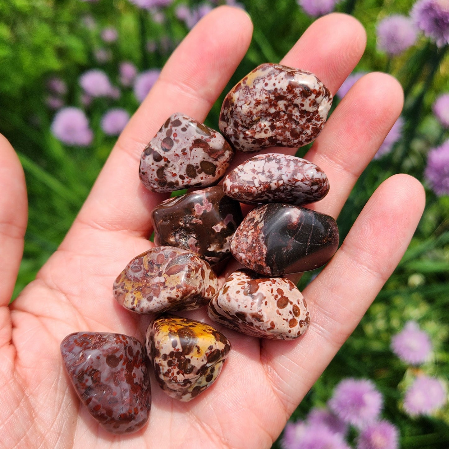 Leopard Skin Jasper