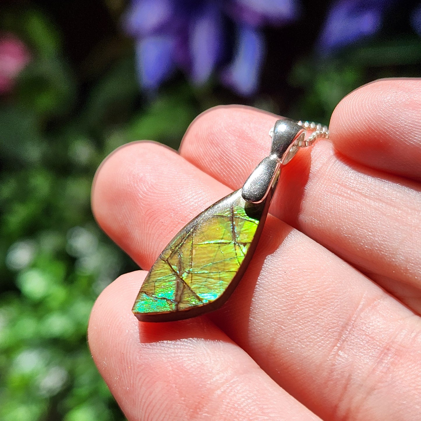 Ammolite Pendant