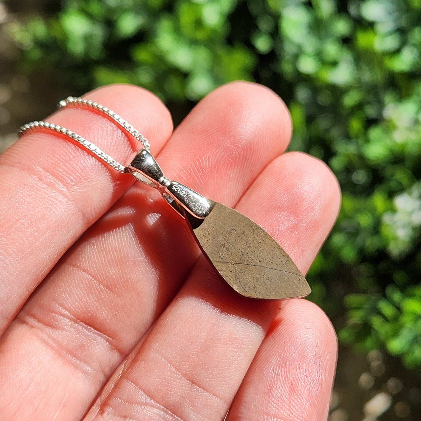 Ammolite Pendant