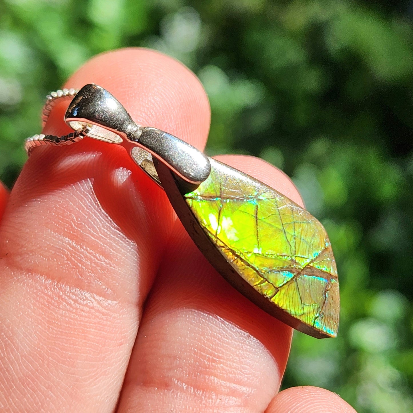 Ammolite Pendant
