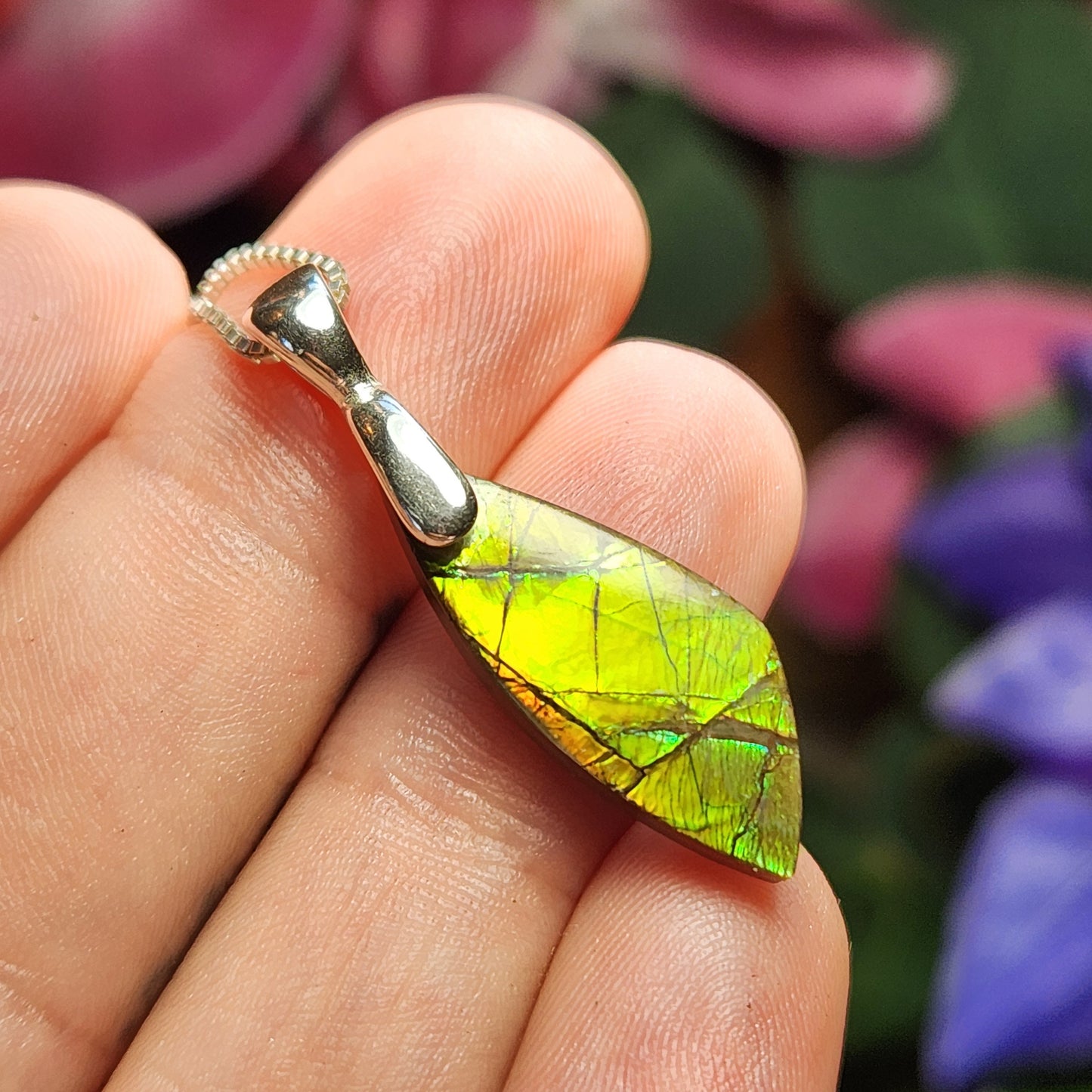 Ammolite Pendant