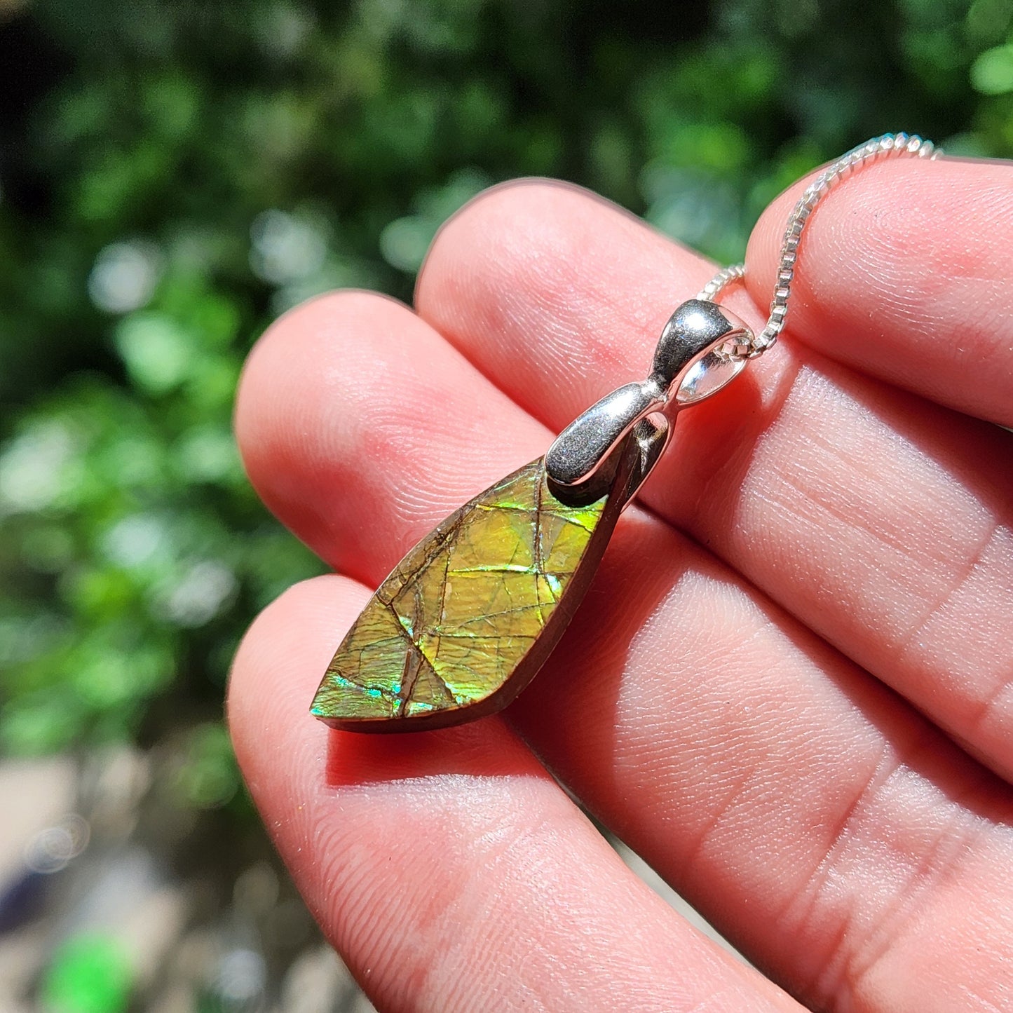 Ammolite Pendant