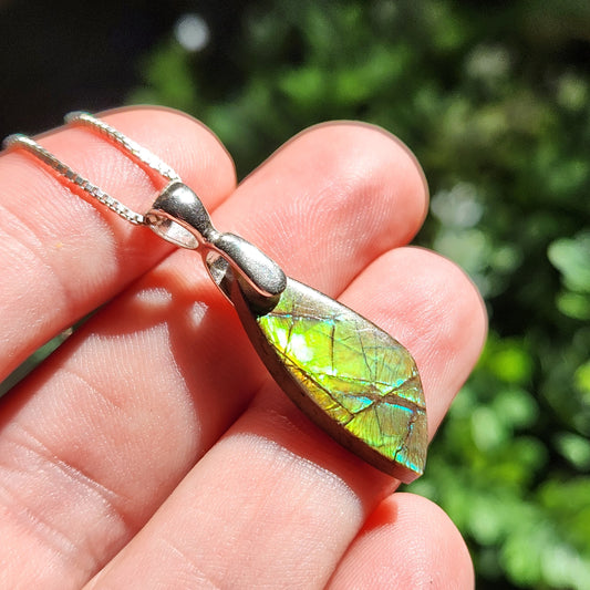 Ammolite Pendant