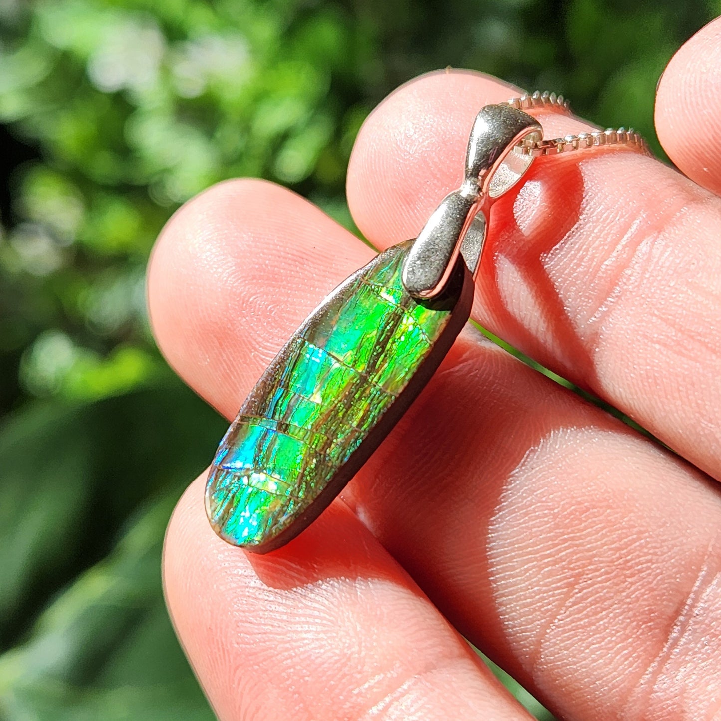 Ammolite Pendant