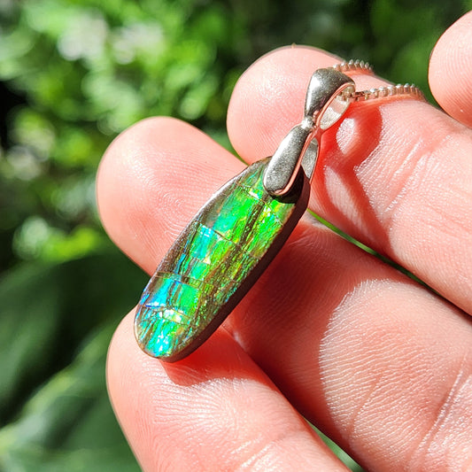 Ammolite Pendant