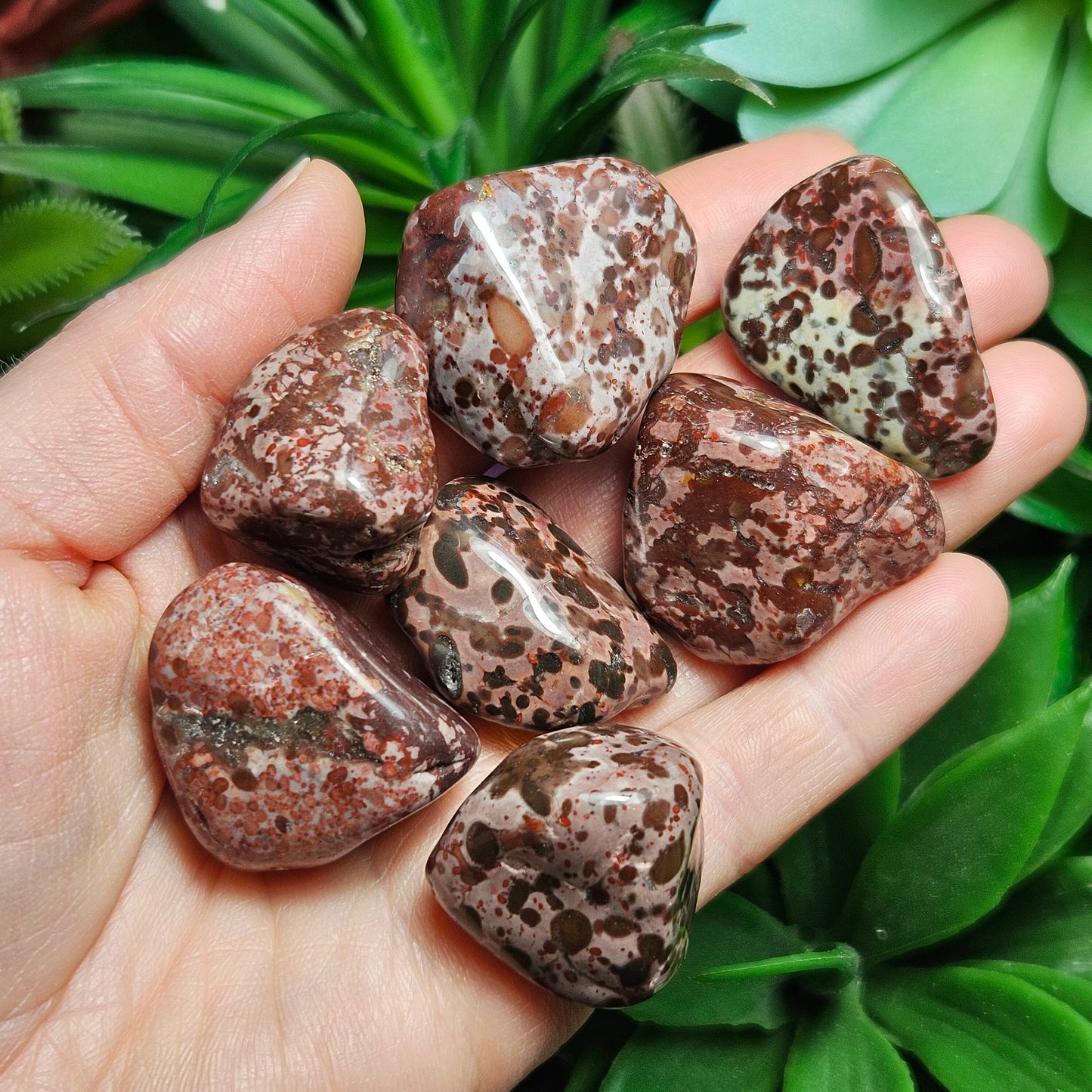 Leopard Skin Jasper