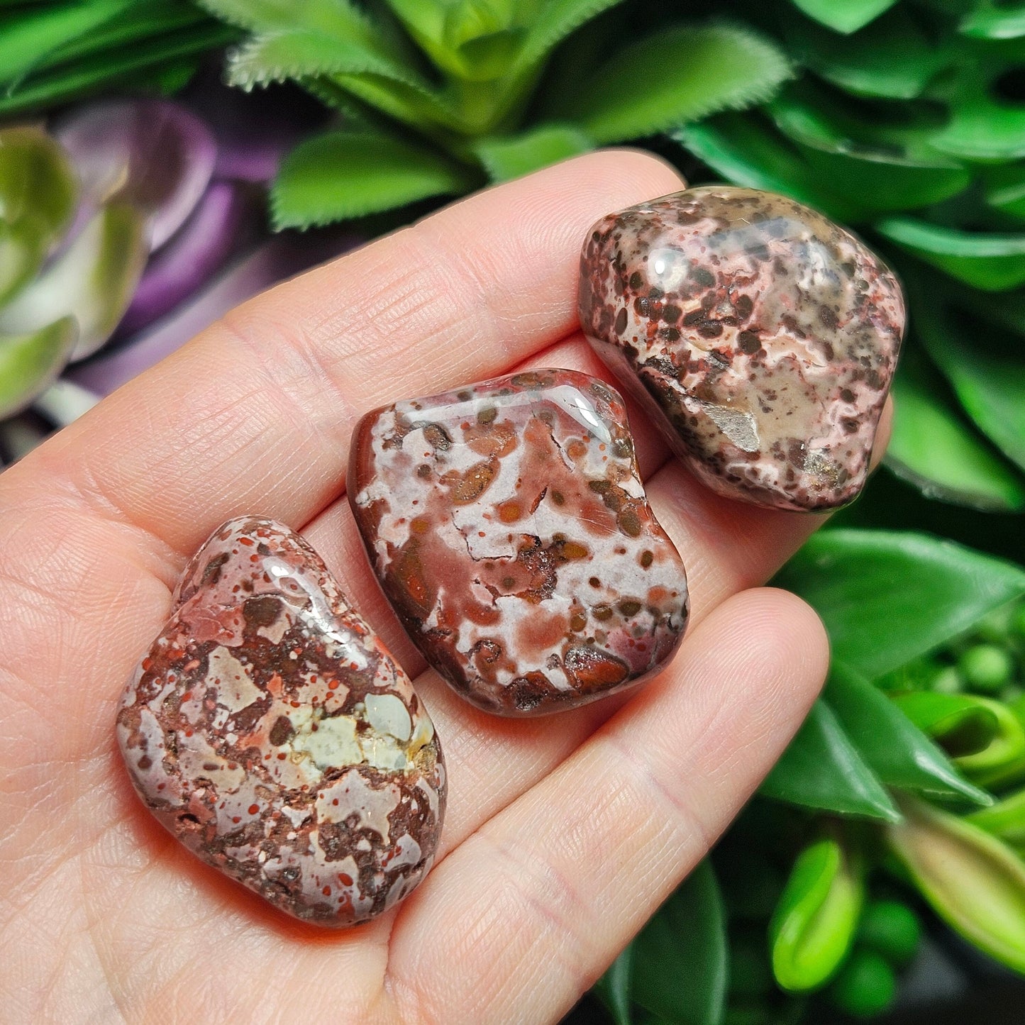 Leopard Skin Jasper