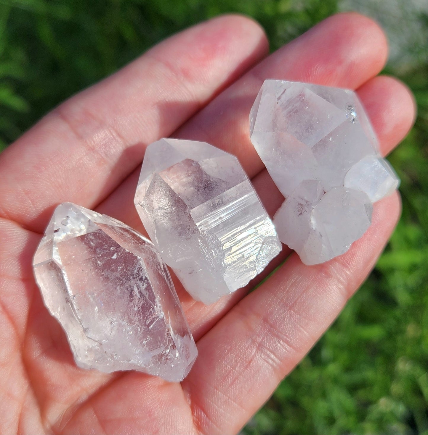 Lemurian Seed Quartz