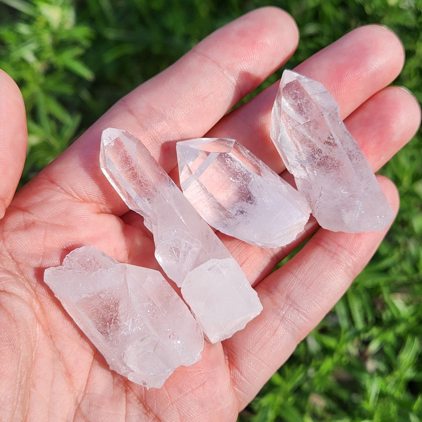 Lemurian Seed Quartz
