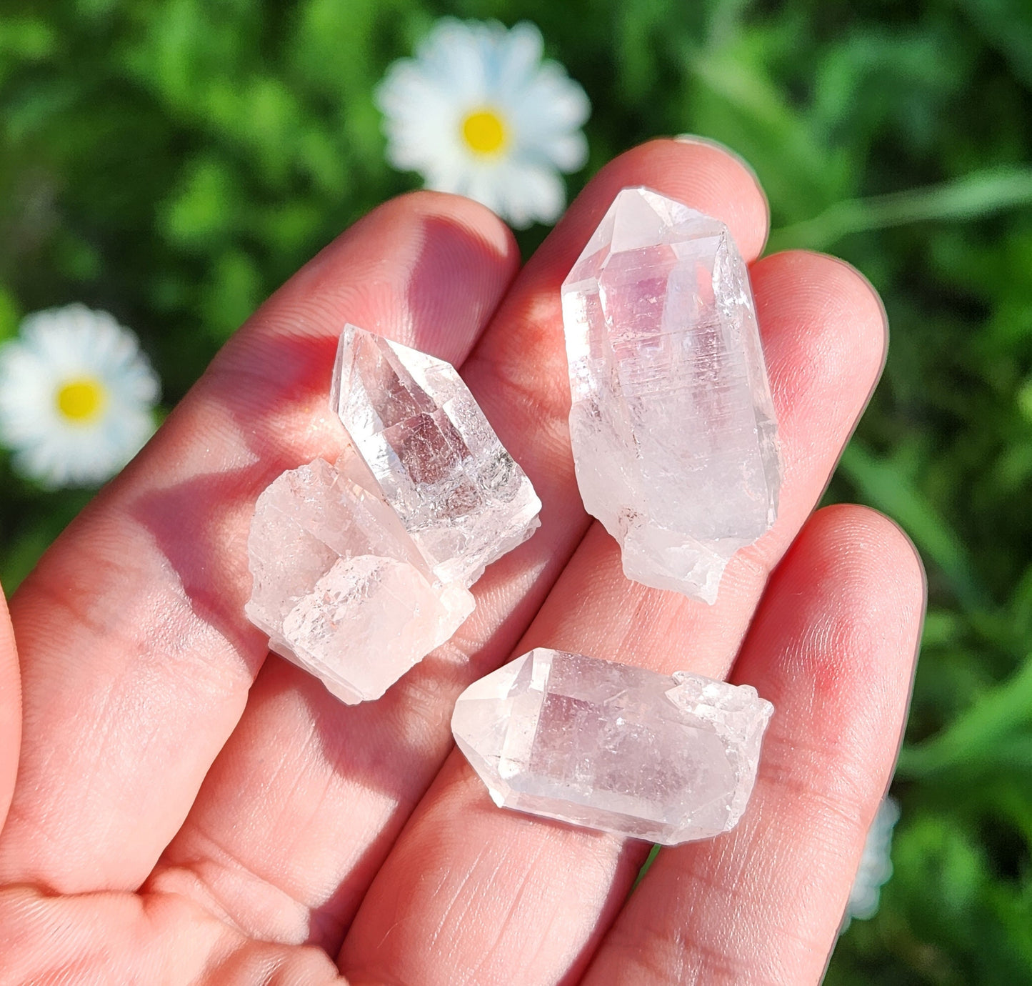 Lemurian Seed Crystal