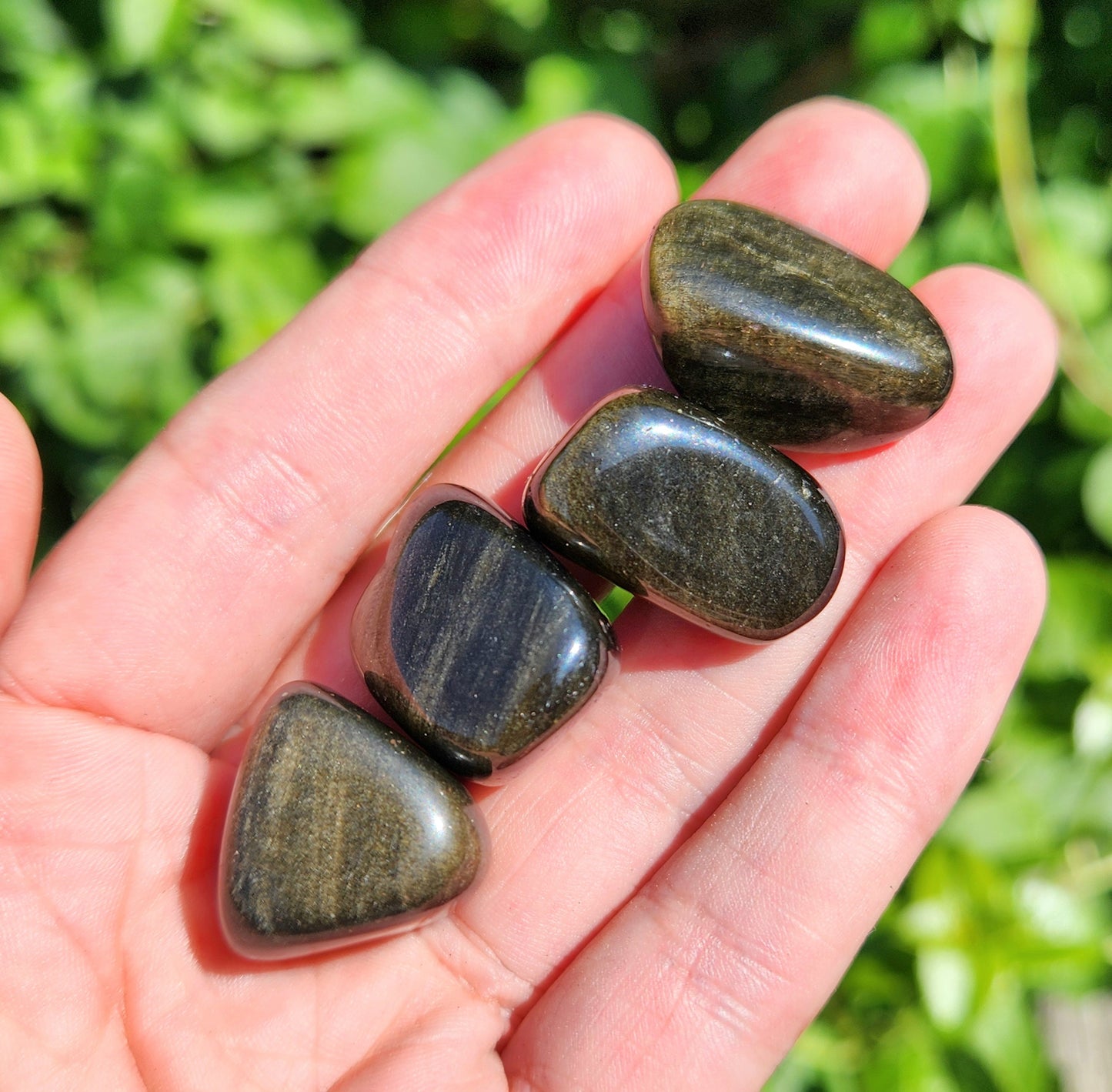 Golden Sheen Obsidian