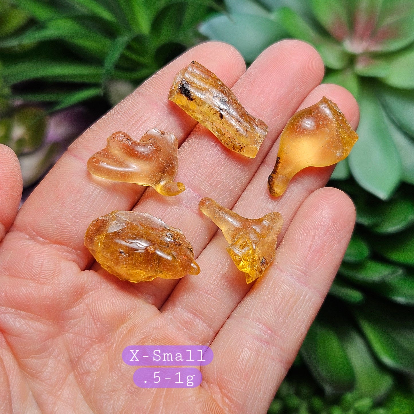 Amber with Insects