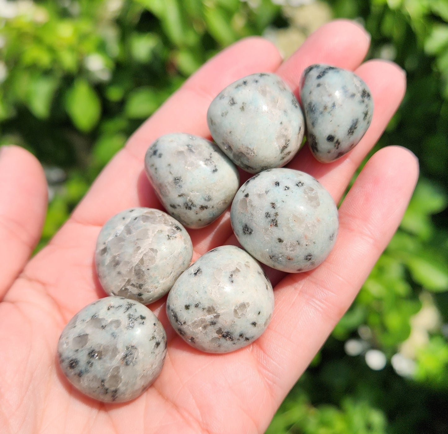 Kiwi Jasper Crystal