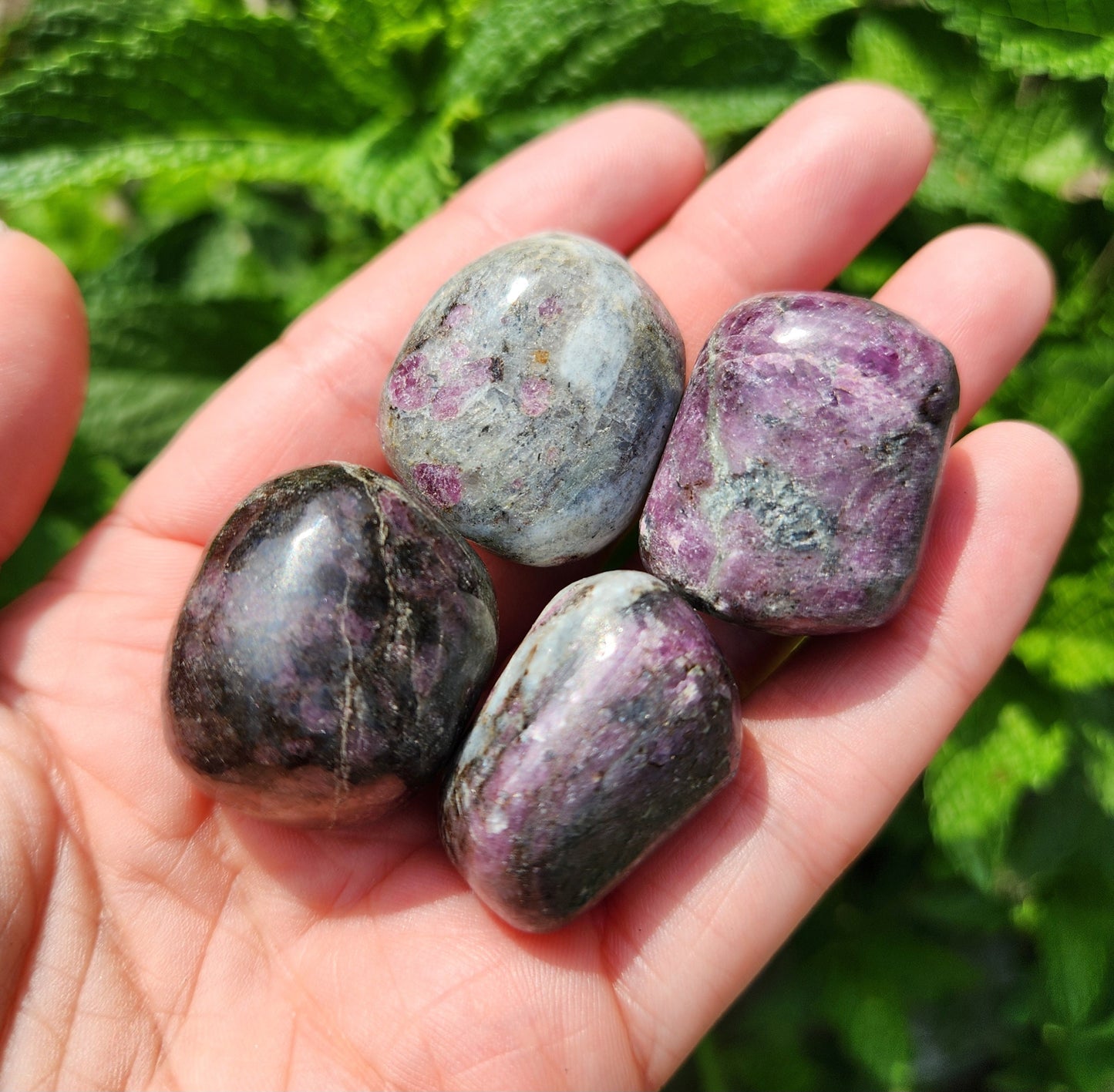 Astrophyllite Garnet Stone