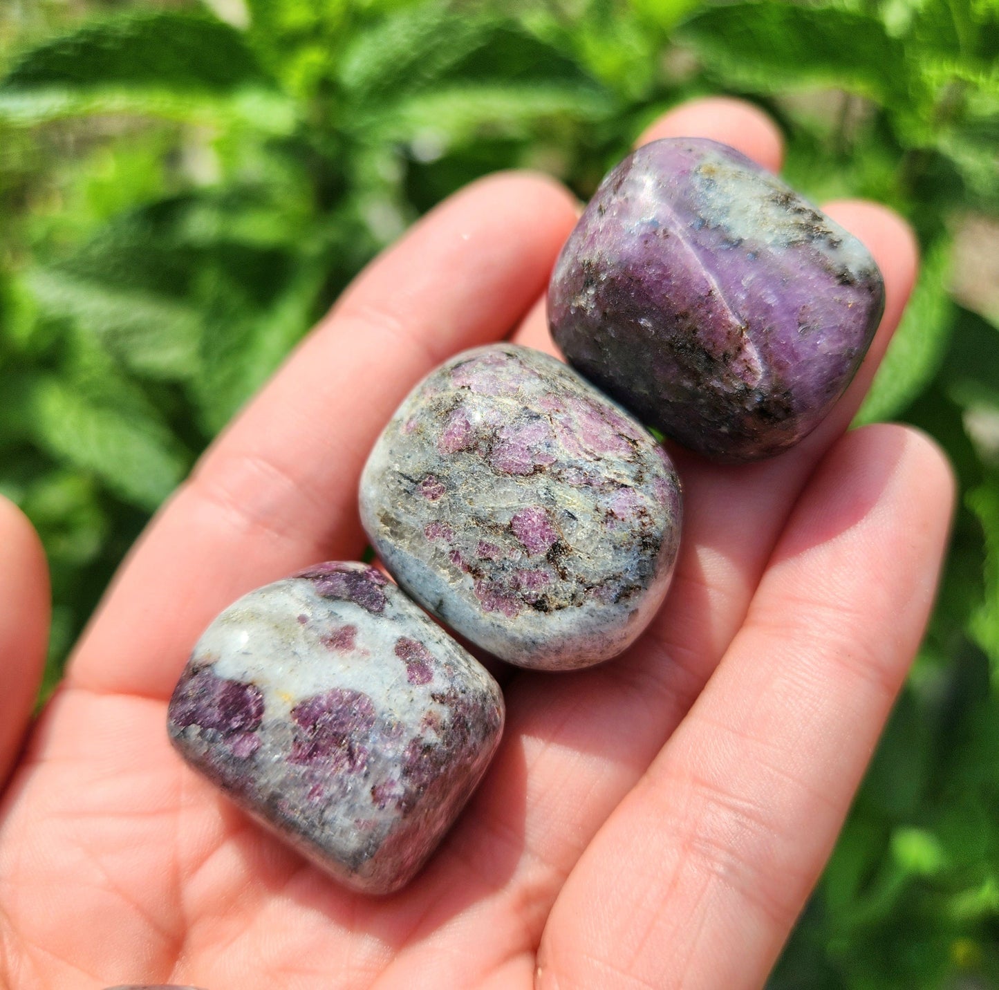 Astrophyllite Garnet Stone