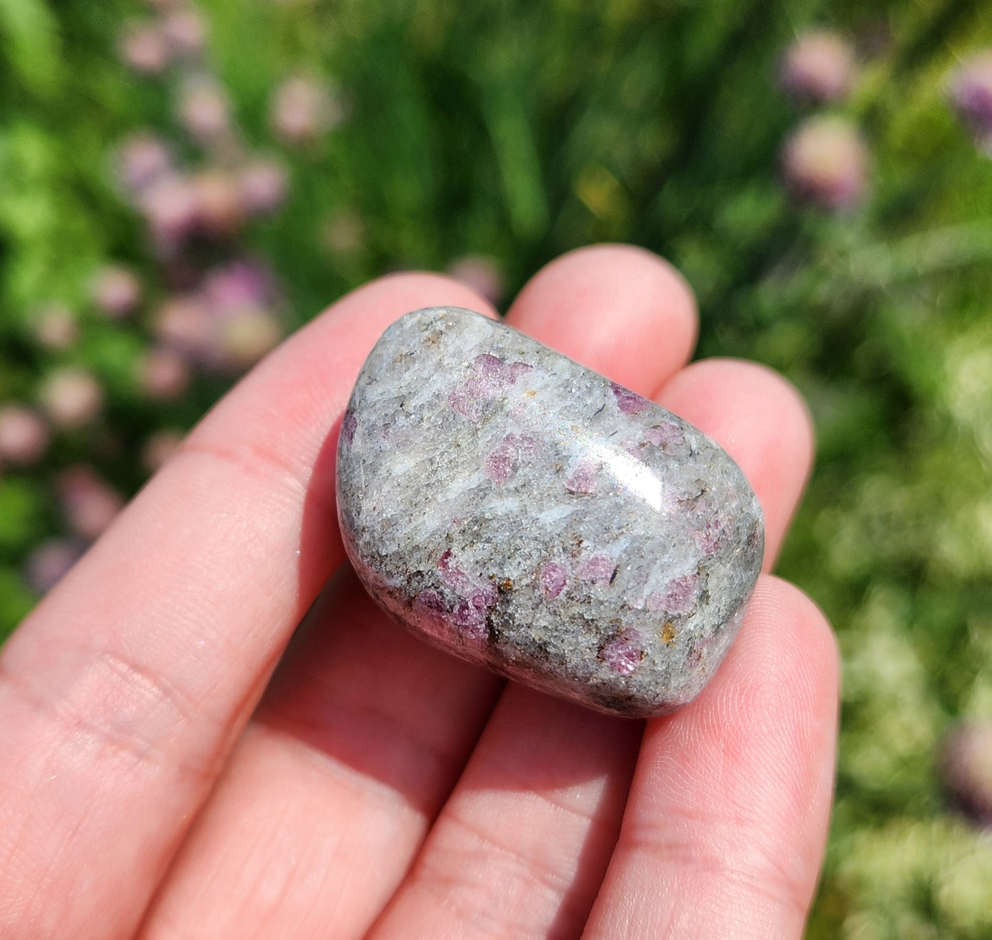 Astrophyllite Garnet Stone