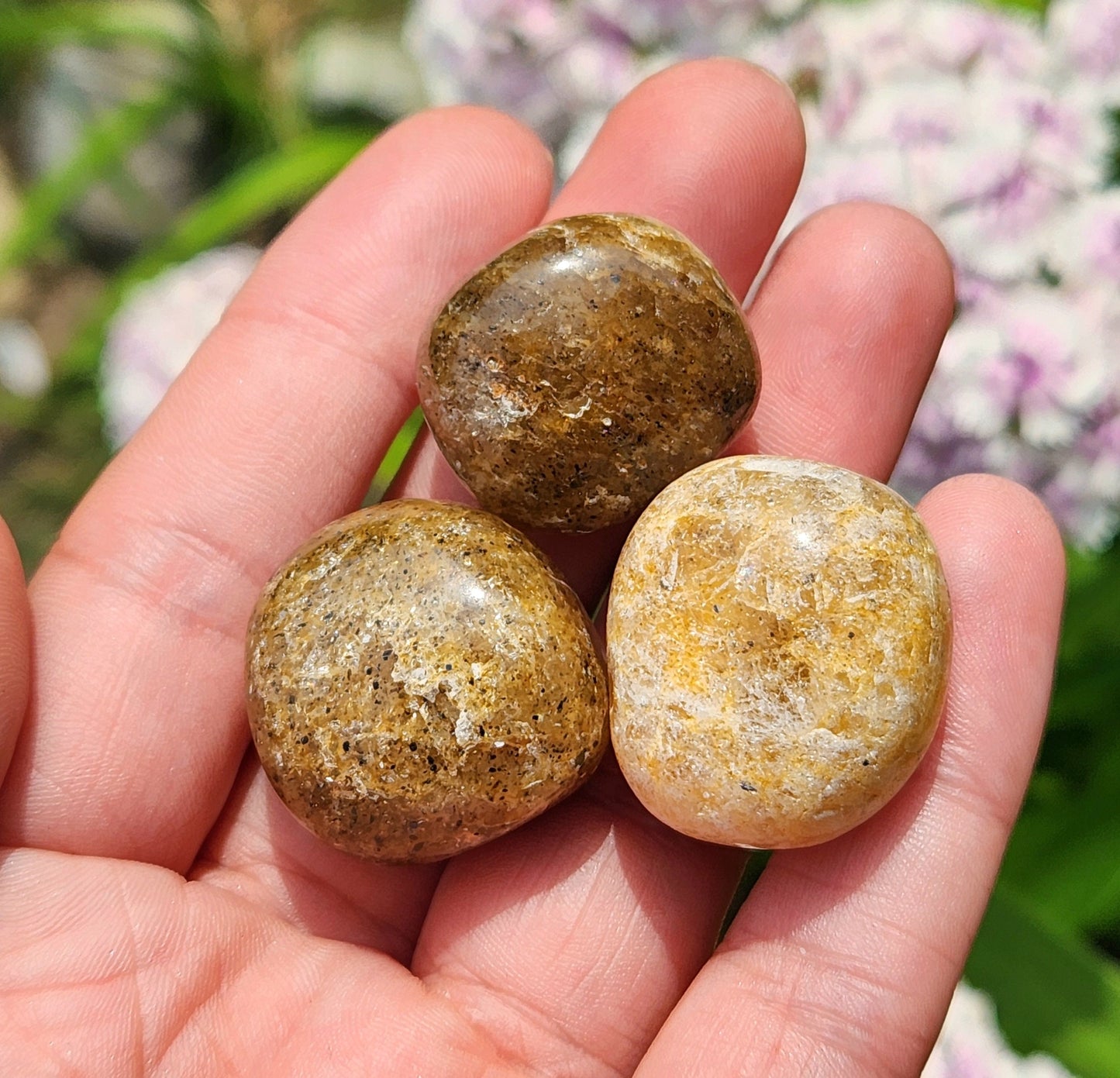 Harlequin Quartz