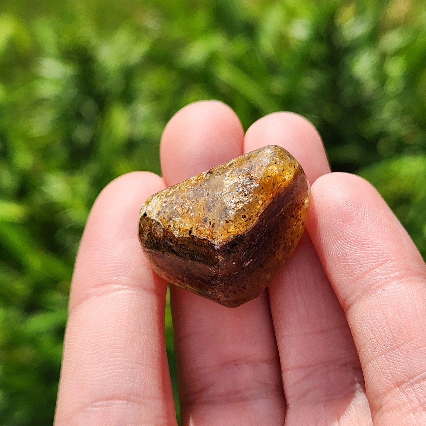 Harlequin Quartz
