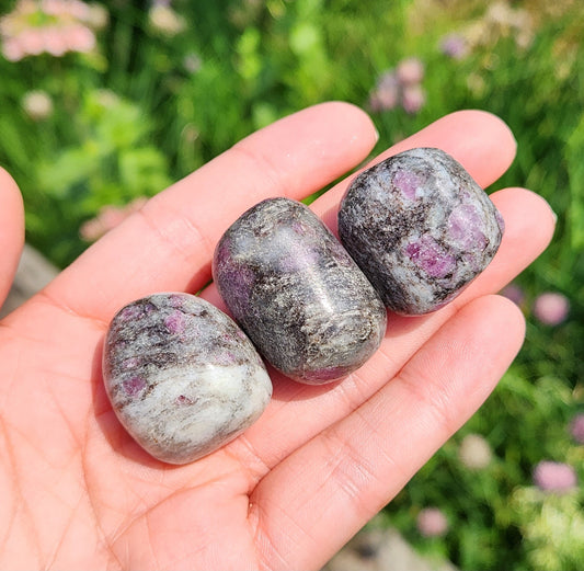 Astrophyllite Garnet Stone