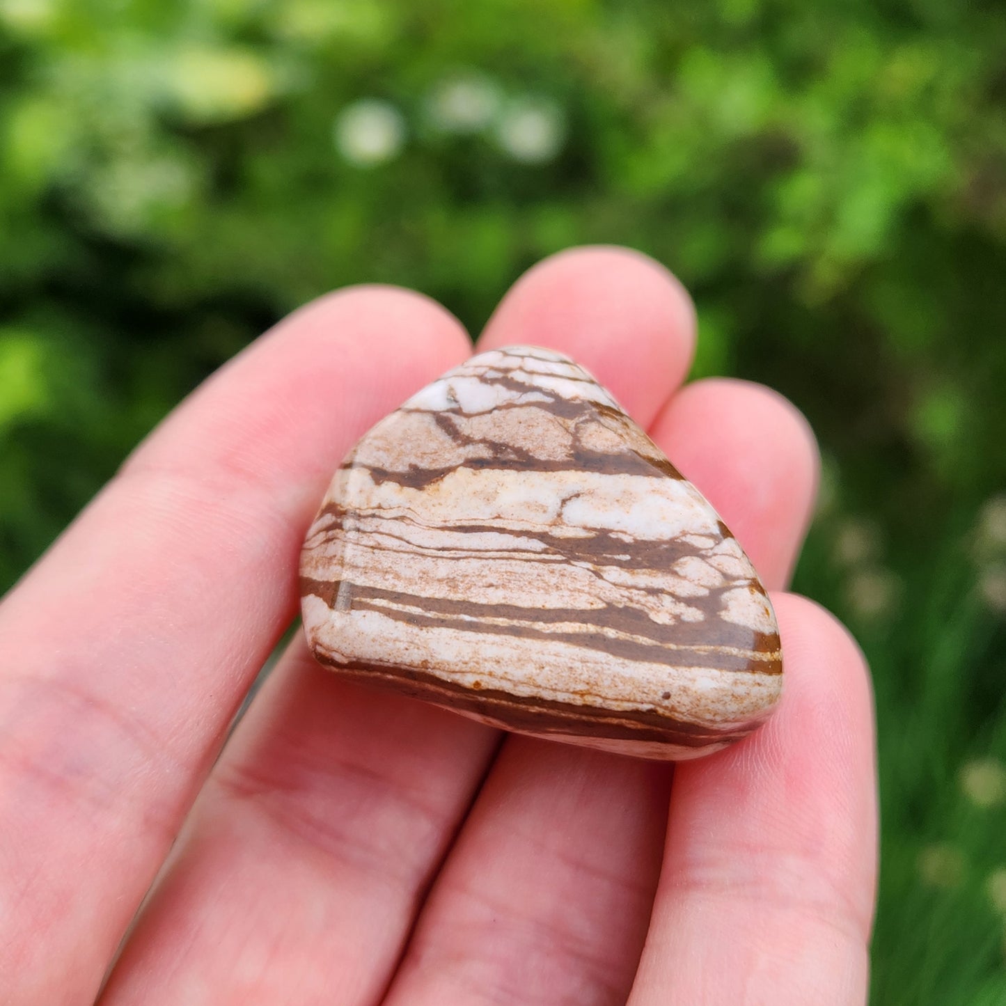 Red Zebra Jasper